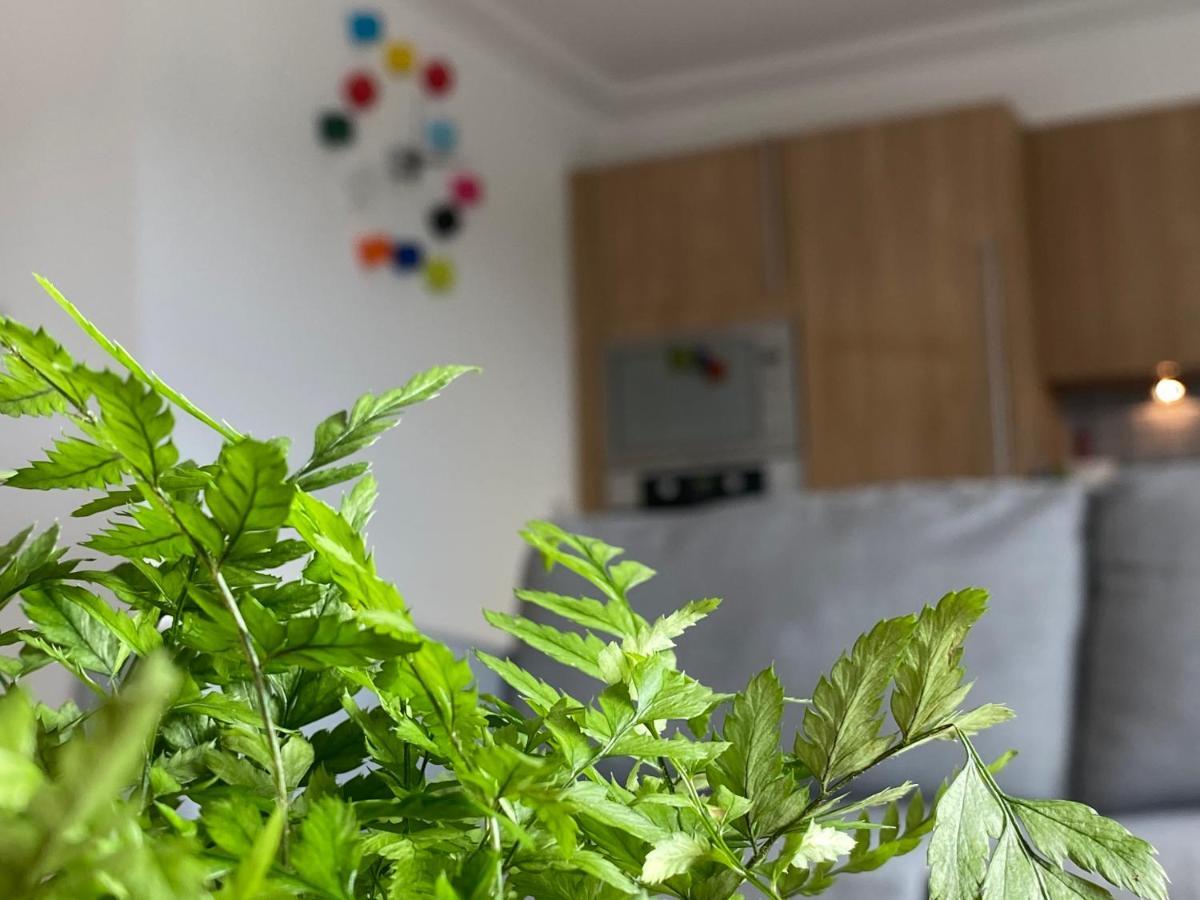 The Duplex Nairn- Spacious 3 Bedroom With Sunny Balcony מראה חיצוני תמונה